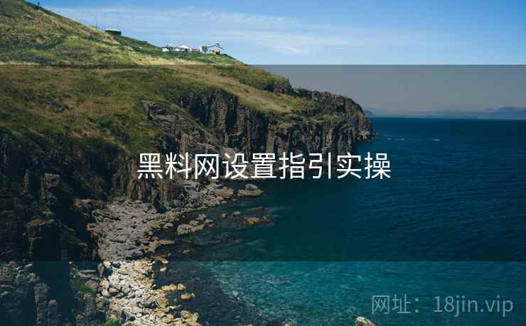 黑料网设置指引实操