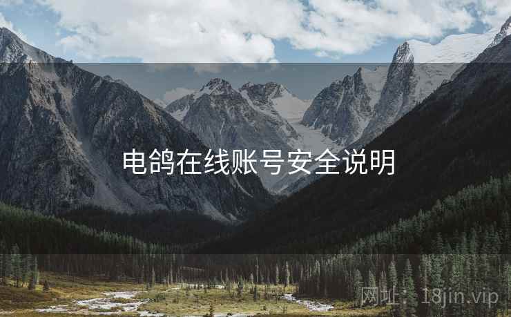 电鸽在线账号安全说明