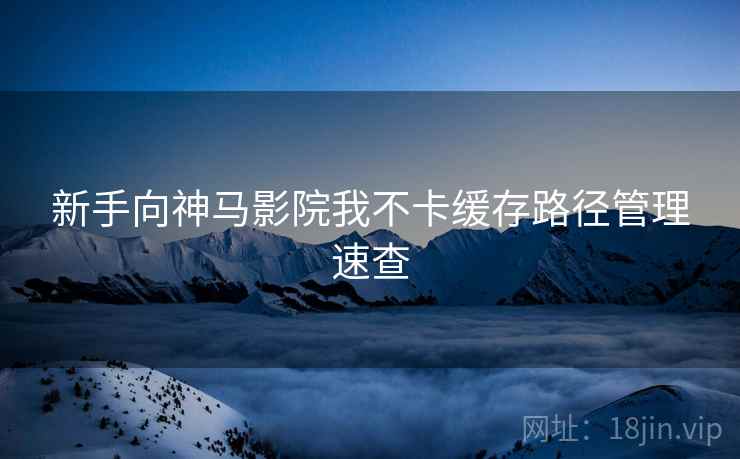 新手向神马影院我不卡缓存路径管理速查