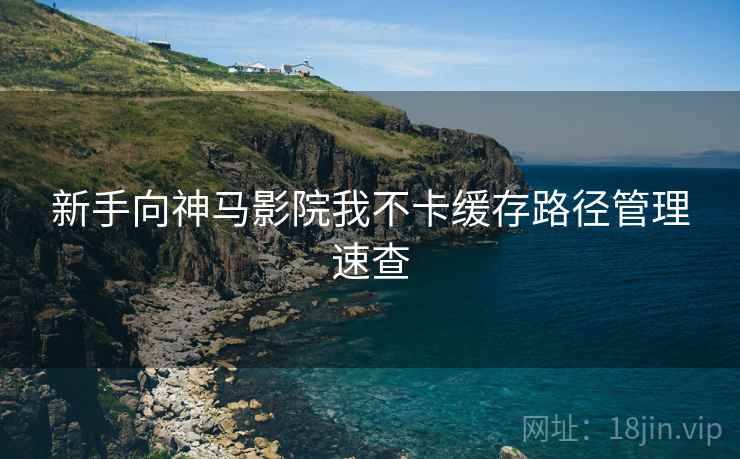 新手向神马影院我不卡缓存路径管理速查