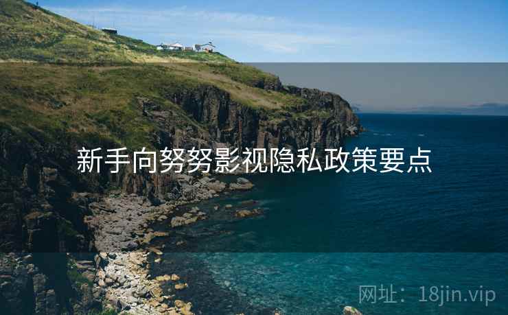 新手向努努影视隐私政策要点