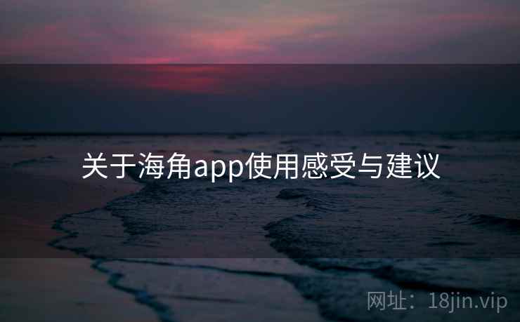 关于海角app使用感受与建议