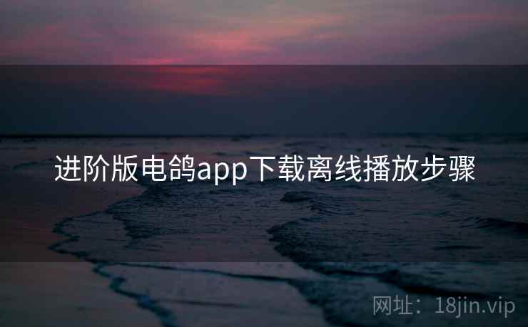 进阶版电鸽app下载离线播放步骤