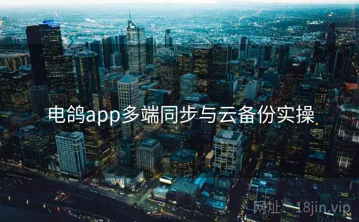 电鸽app多端同步与云备份实操
