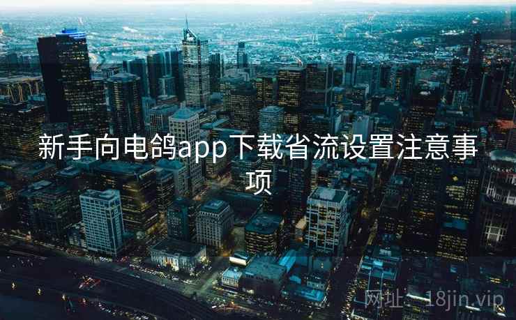 新手向电鸽app下载省流设置注意事项