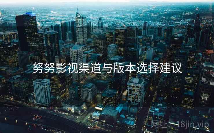 努努影视渠道与版本选择建议 努努影视渠道与版本选择建议