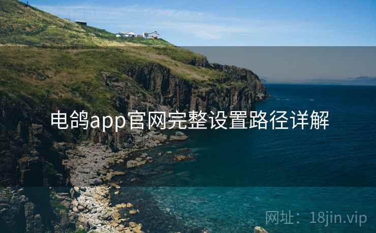 电鸽app官网完整设置路径详解