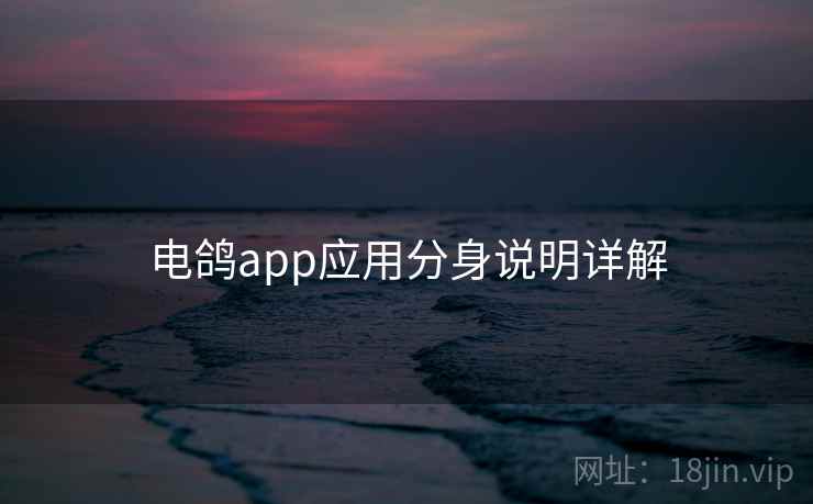 电鸽app应用分身说明详解