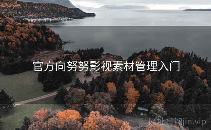 官方向努努影视素材管理入门 官方向努努影视素材管理入门