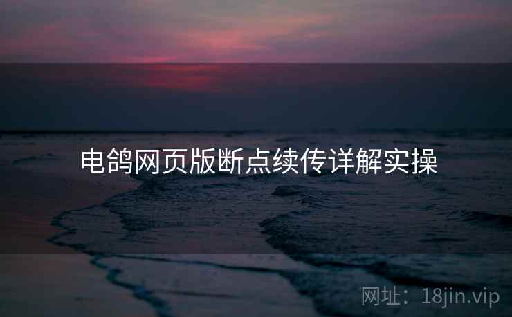 电鸽网页版断点续传详解实操