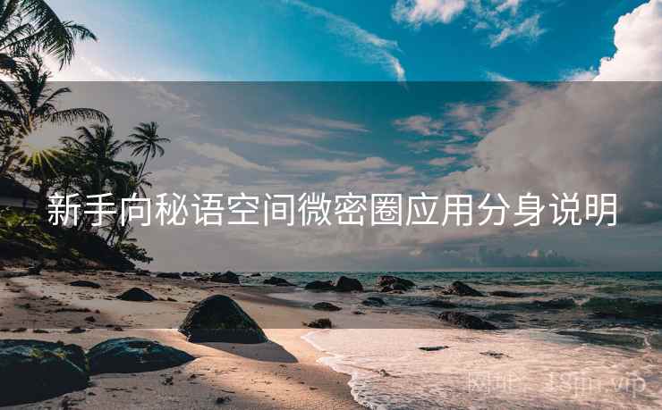 新手向秘语空间微密圈应用分身说明